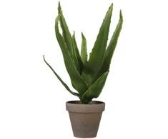Edelman Dirbtinis augalas vazonėlyje H30xØ16cm alavijas/žalias