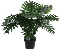 Edelman Dirbtinis augalas vazonėlyje H60xØ80cm filodendras