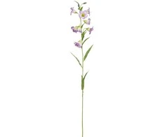 Edelman Dirbtinis katilėlis L73cm violetinė