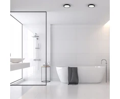 Lubinis šviestuvas Eko Light Plafonas, 12 W LED