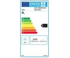 Elektrinis vandens šildytuvas TESY GCH100 horizontalus