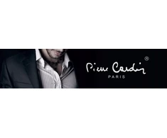 Elegantiškas Pierre Cardin metalinis rašiklis