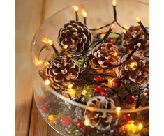 Lumineo Durawise string lights. 497161. 14.3 m. warm baltas. 192 LED