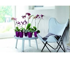 Elho Dekoratyvinis gėlių vazonas Brussels Orchid D12.5cm H15.2cm plast./švies.rožinis