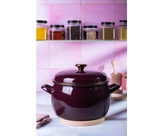 Emaliuotas puodas su dangčiu 24cm 7,5L indukcinės dujos Metalac Bordo Princ