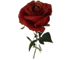Emivela Dirbtinė aksominė rožė 78cm tamsiai raudona
