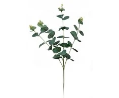 Emivela Dirbtinė eukalipto šakelė 60cm žalia