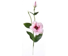 Emivela Dirbtinė eustoma 45cm