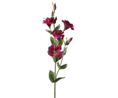 Emivela Dirbtinė eustoma 85cm balta