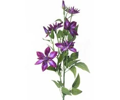 Emivela Dirbtinė gėlė 70cm raganė/violet.
