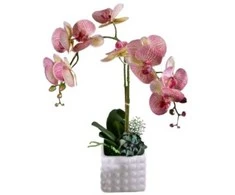 Emivela Dirbtinė orchidėja vazone 60cm//2 šakelės