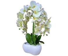 Emivela Dirbtinė orchidėja vazone 70cm/5 šakelės