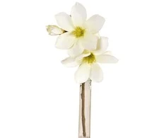 Emivela Dirbtinės magnolijos šaka 24cm baltas