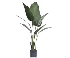 Emivela Dirbtinis augalas vazone 120cm bananmedis