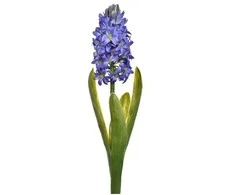 Emivela Dirbtinis hiacintas 40cm