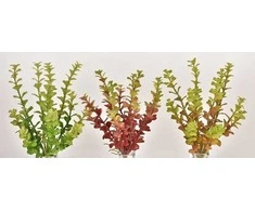 Emivela Dirbtinis sukulentas 26cm Lucky Heart Bush