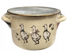 ENAMEL PLESZEW Emaliuotas puodas su dangteliu 22 cm 5,6 l indukciniam GĄSKI