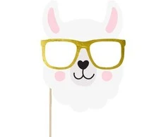 Fotosesijos rekvizitai PartyDeco 5vnt. Llama