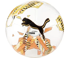 Futbolo kamuolys Puma Orbita 6 MS dydis 5