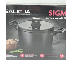 Galicja SIGMA puodas, aukštas, 22cm, 5,5L