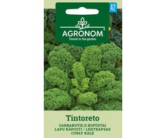 Garbanotųjų kopūstų TINTORETO sėklos, 1 g