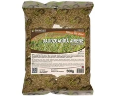 Gausiažiedžių svidrių sėklos 500g
