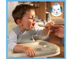 Gerber Owsianka grūdų desertas su mangais ir bananais po 6 mėnesių 110 g