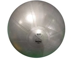 Gimnast. kamuolys 65cm TOORX AHF-012 su pompa