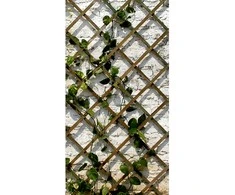 Gl Plastic Grotelės vijokliniams augalams W90cm H1.8m rudos/medinės