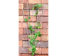 Gl Plastic Trikampio formos grotelės vijokliniams augalams W43cm H90cm baltos/metalinės/PE