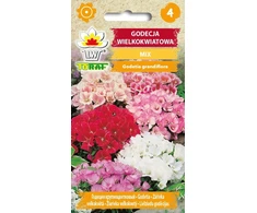 Godetia grandiflora sėklų mišinys 1 g