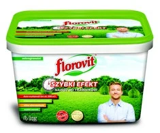 Greito poveikio trąšos vejai Florovit 4kg