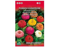 Bikuvalt Gvaizdūnė puikioji 1g 0735