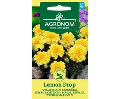 Gvazdikinių serenčių LEMON DROP sėklos, 0,4 g