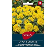 Gvazdikinių serenčių sėklos GYPSY SUNSHINE, 0,4 g