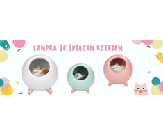 Habarri Lampka nocna Z kotkiem Dla dzieci Na biurko Dla chłopca seledynowa