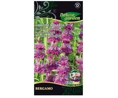 Hibridinių monardų sėklos Delux Garden 0.1g Bergamo