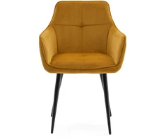 Home Design VELIŪRO AKOMINIO MINŠTĖ KĖDĖ SVETAINEI, VALGOMAI, MODERNAUS GLAMURAS