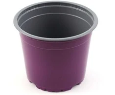 Hortes Apvalus daigų vazonėlis D13cm H9.6cm tamsiai violetinis