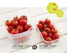 Indas su dangčiu maistui laikyti Fresh 1.6L