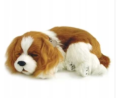 Interaktyvus šuo Perfect Petzzz Cavalier King Charles šuniukas