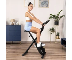 Irkliavimo treniruoklis Gymtek