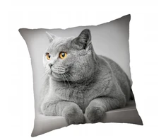Jerry Fabrics Užvalkalas dziecięca 45x45 Kot pilka