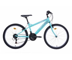 Kalnų dviratis/nesurinktas BOTTARI 24'' ratai