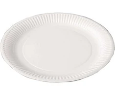 Kartoninės lėkštės D23cm/100vnt. baltos