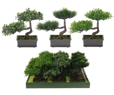 POLNIX Keraminis vazonas BONSAI, juodos sp., 19 x 13 cm