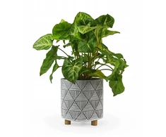 Polnix Dekoratyvinis gėlių vazonas Etno Ø14cm H15cm keram./pilkas/baltas