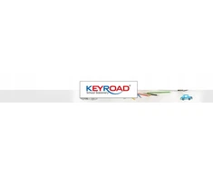 Keyroad Rinkinys 5 skirtingų dydžių teptukų tapybai