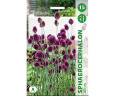 Kiaušininių česnakų svogūnėliai, lot. ALLIUM SPHAEROCEPHALON, 15 vnt.