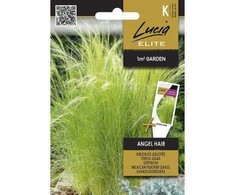 Kibiųjų ašuočių sėklos ANGEL HAIR, 30 vnt